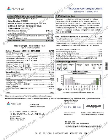 USA NICOR GAS utility bill Word and PDF template